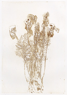 Fleurs pour M. Duchamp