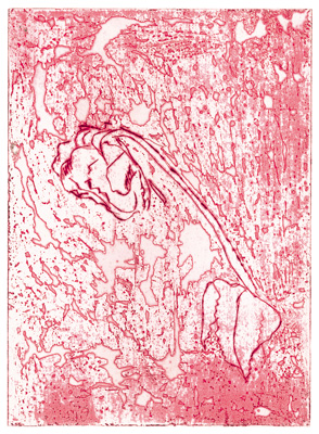 Wattwanderung No. 70