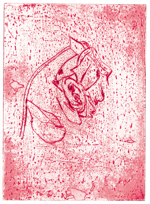 Wattwanderung No. 71
