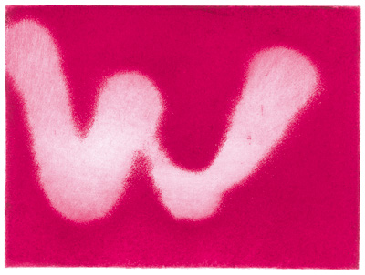 Wattwanderung No. 108