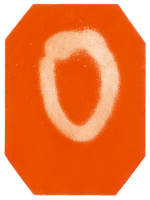 Wattwanderung No. 124