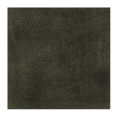Buschbuch