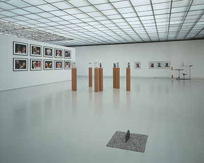 Installation view