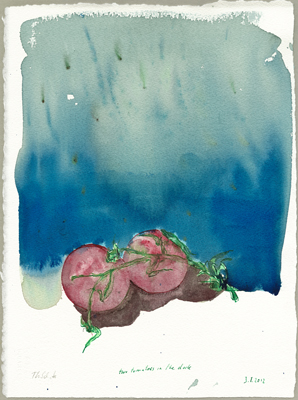 two tomatoes in the dark