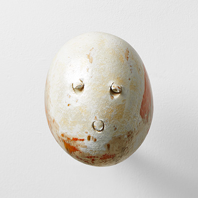 Reborn as a Stone