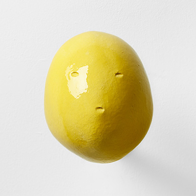 Reborn as a Stone
