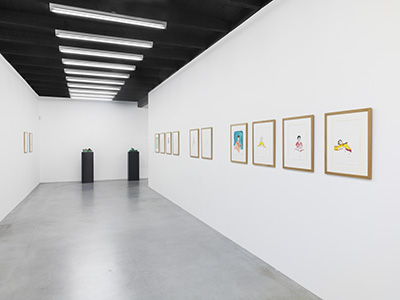 Installation view