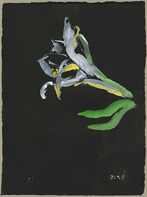 Schwarze Blumen