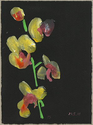 Schwarze Blumen