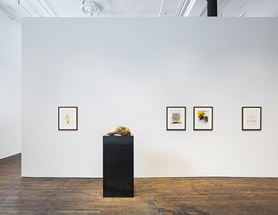 Installation view
