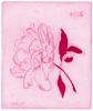 Wattwanderung No. 42