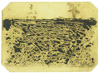 Wattwanderung No. 45