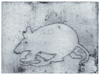 Wattwanderung No. 75