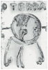 Wattwanderung No. 87