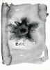 Aufzeichnungen aus der 2. Reihe No. 47