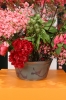 One Man Houses (Planter)