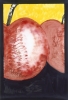 Kirschen