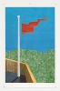 Woodcuts (Flag)