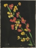 Schwarze Blumen 