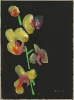 Schwarze Blumen